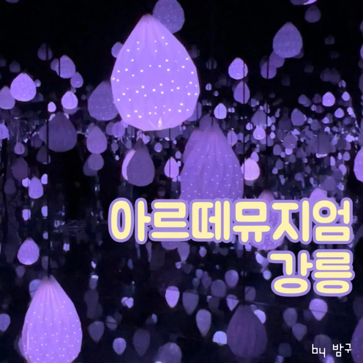  아르떼뮤지엄 강릉 가볼만한곳 실내데이트 장소 카페 A 소개