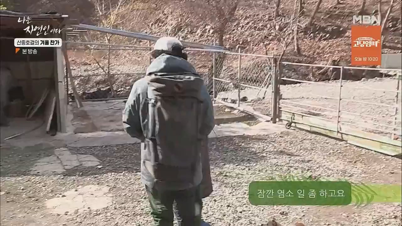나는 자연인이다.E533.221222p.WANNA.mp4_20221222_194219.692.jpg