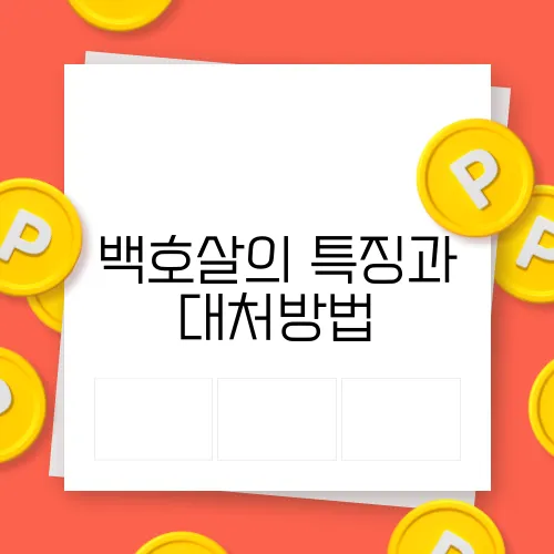 백호살의 특징과 대처방법
