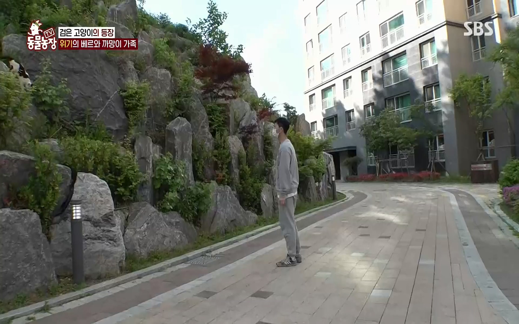 TV 동물농장.E1073.220612p.H264-F1RST.mp4_20220612_181350.809.jpg