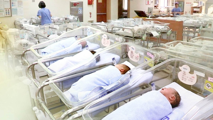 한국의 출산율 변화와 출산 장려금 정책의 관계