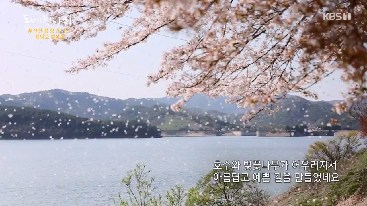 동네 한 바퀴.E272.240505p-NEXT.mp4_20240505_160330.018.jpg