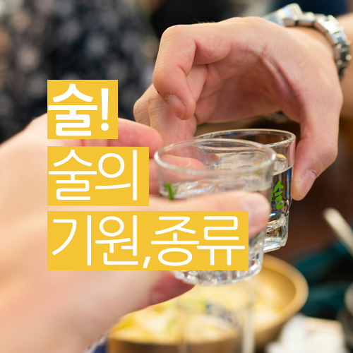  술! 술의 기원, 술의 종류가 궁금해요!