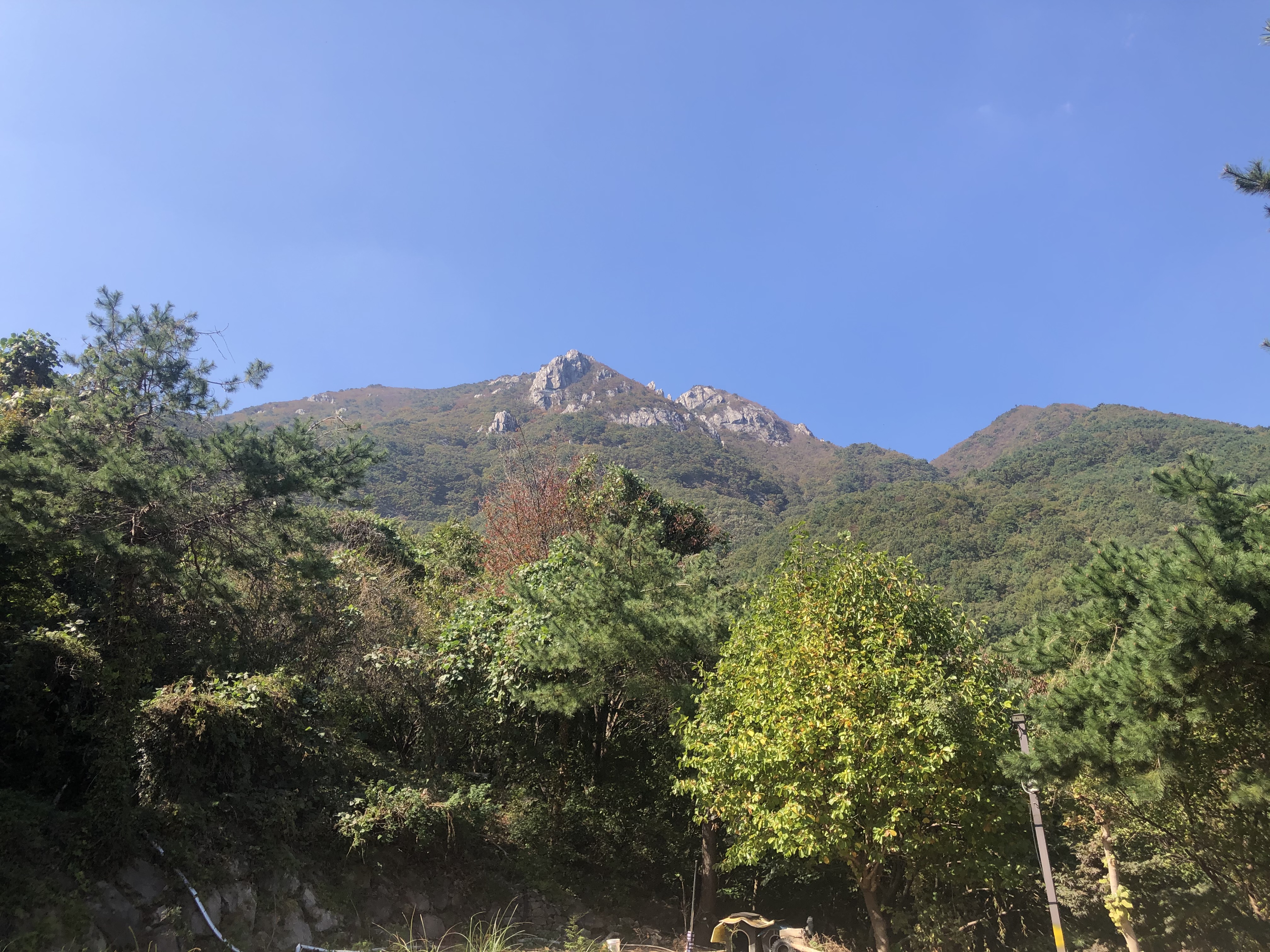 더숲 이미지