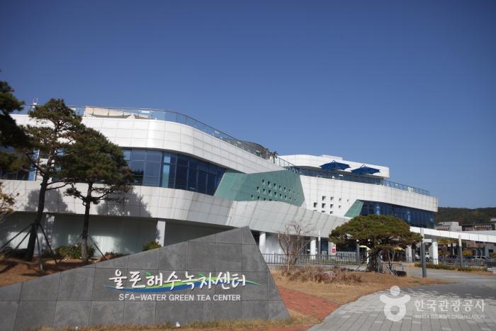 보성 다향 축제