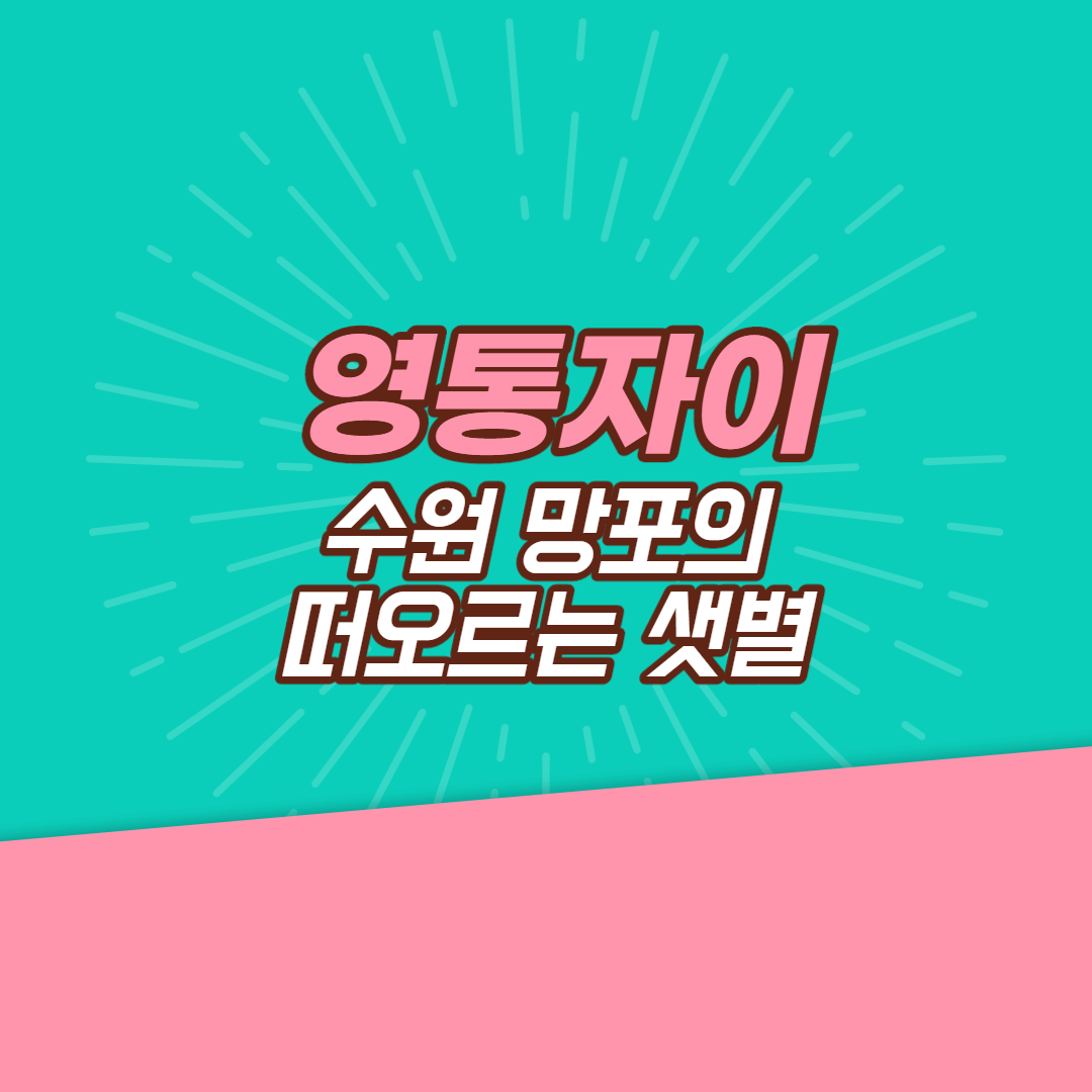  영통자이, 수원 망포의 떠오르는 샛별