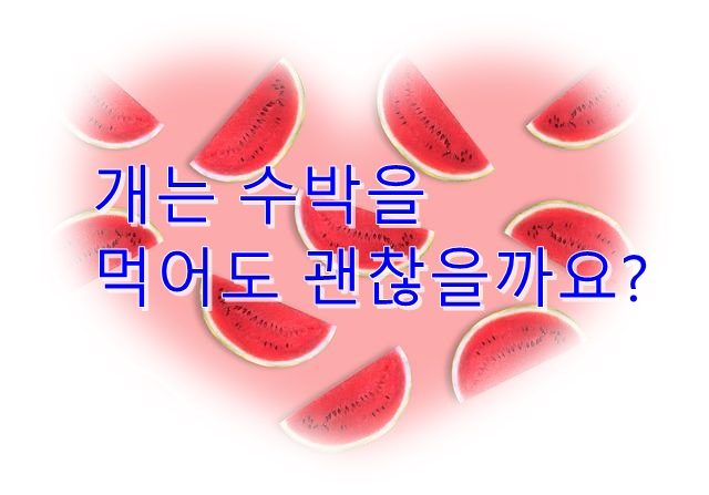  개는 수박을 먹어도 괜찮을까요? 사과 먹는 방법이나 주의해야 할 점은?
