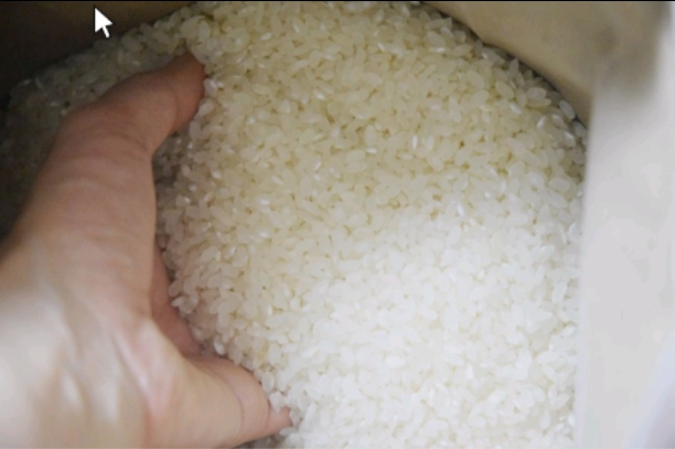 신동진 쌀