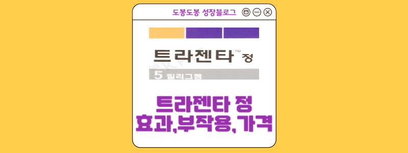  트라젠타정 : 효과,가격,부작용에 대한 모든 정보