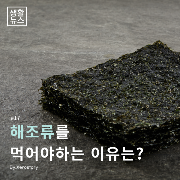  생활건강#17 바다의 비타민! 해조류를 먹어야하는 이유는??