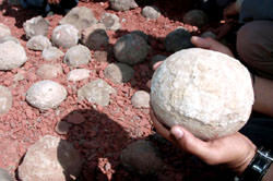 Bull Island Balls&#44; 아제르바이잔