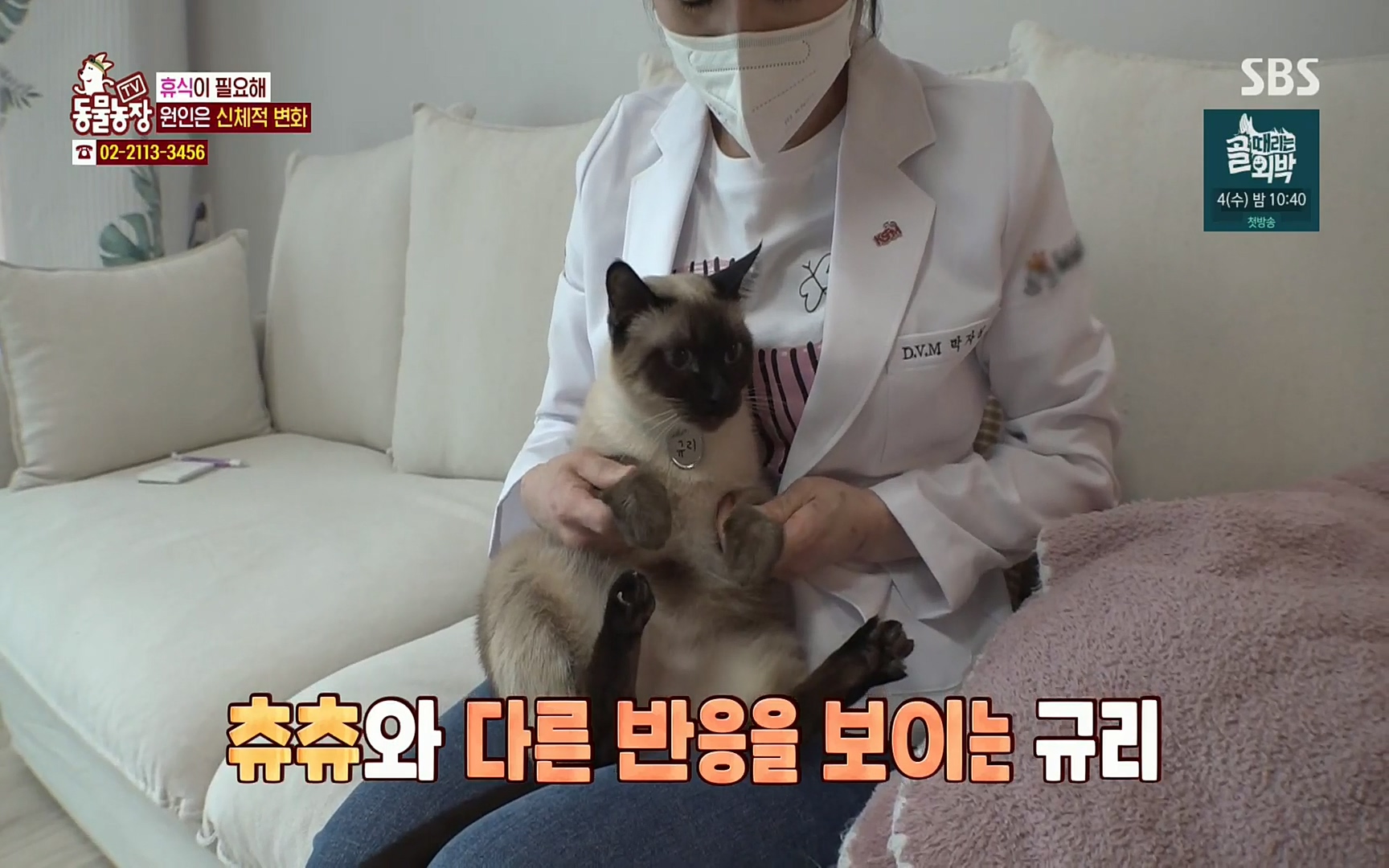 TV 동물농장.E1067.220501p.H264-F1RST.mp4_20220501_182900.201.jpg