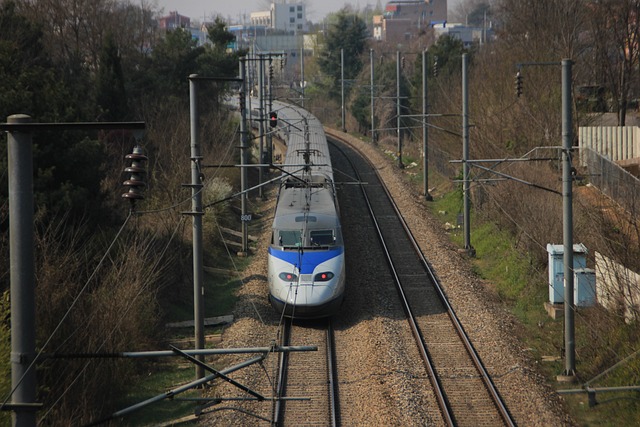 2025년 설날 기차표( KTX) 예매 일정 및 방법: 놓치지 말아야 할 정보