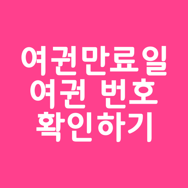 여권 만료일 여권번호 온라인 확인 방법
