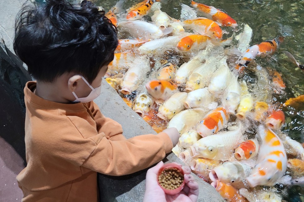 부천 아쿠아리움 부천 아쿠아리움먹이주기 체험 39