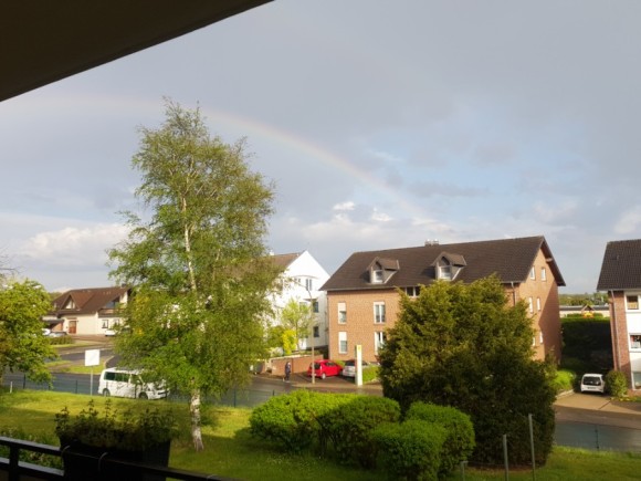 호밀빵 영어로 건강다이어트 : 르방을 이용한 호밀빵 27