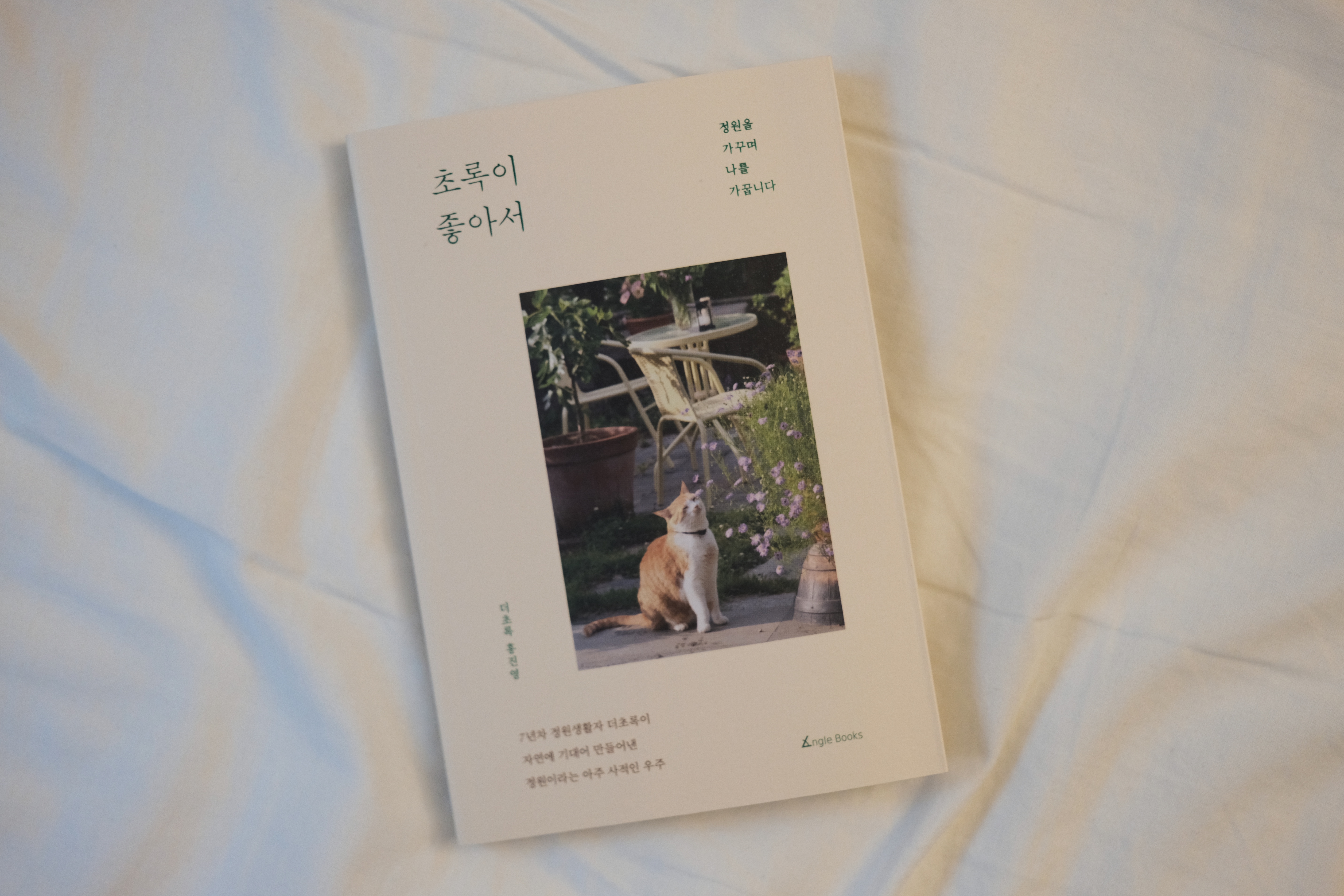 더초록 이미지