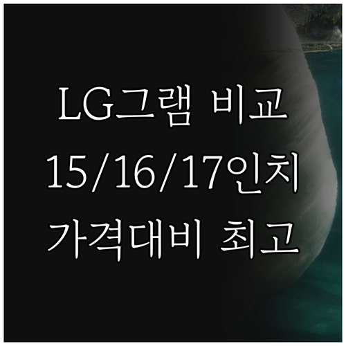 LG전자 그램 15 16 17인치 모