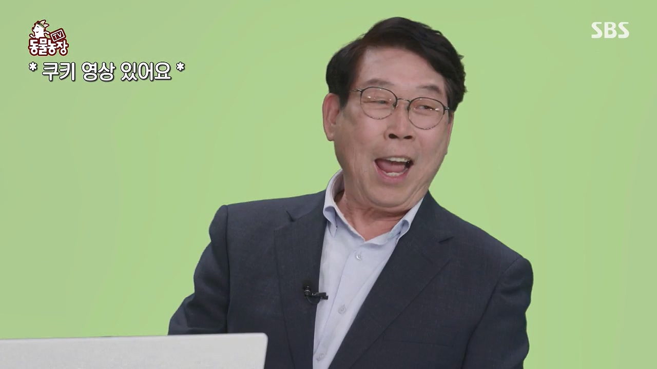 TV 동물농장.E1172.240520p-NEXT.mp4_20240519_163731.368.jpg