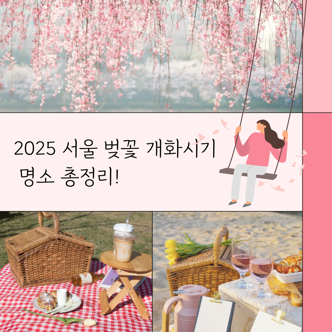 2025 벚꽃 개화시기 서울