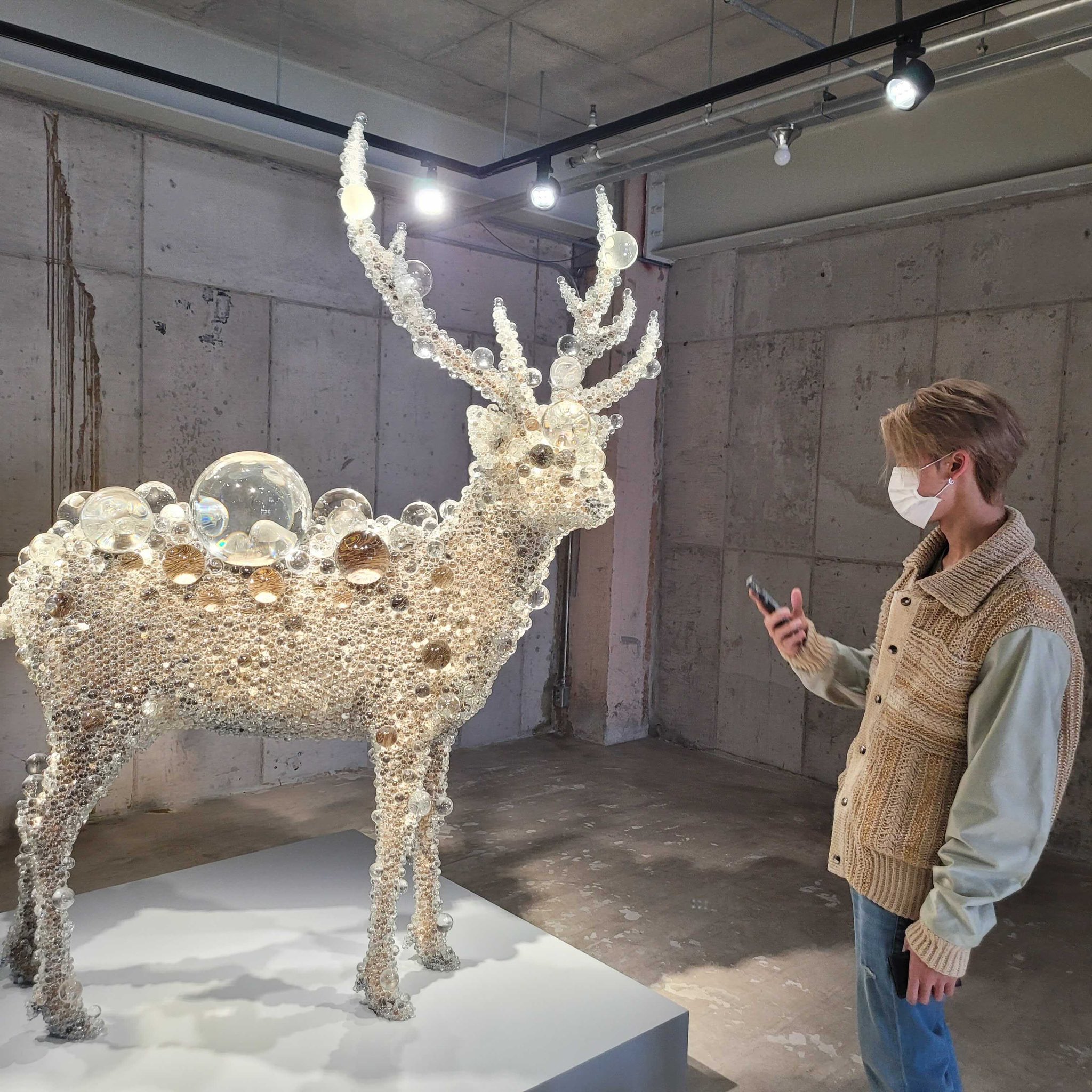 명호 이미지