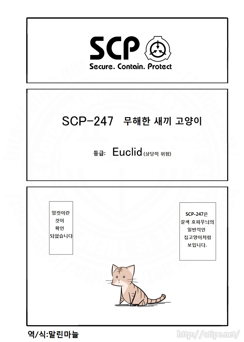  SCP - 247 무해한 새끼 고양이
