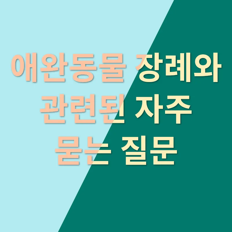 애완동물 장례_4