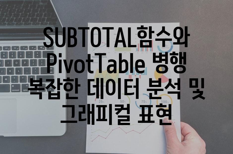 SUBTOTAL함수와 PivotTable 병행 복잡한 데이터 분석 및 그래피컬 표현