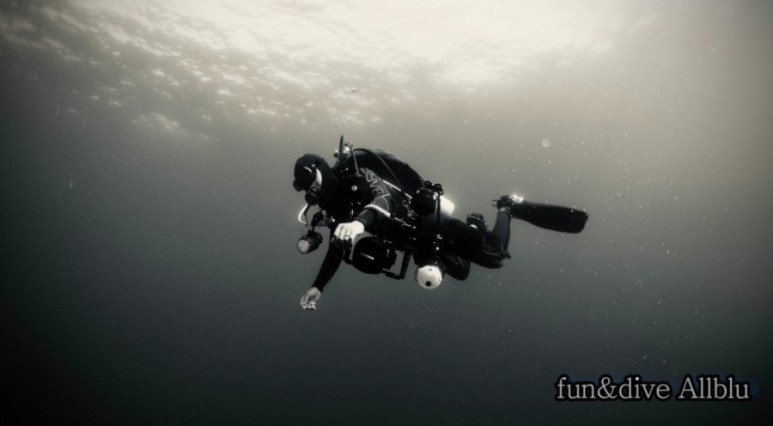 제주버스노선 2020.09 제주 800번 800-1번 8