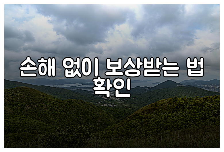 손해 없이 보상받는 법 확인