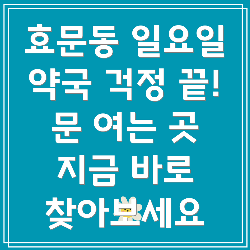 울산 북구 효문동 일요일 약국