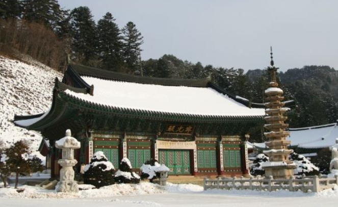 1월 강원도 가볼만한곳 ❘ 국내 겨울 갈만한곳 새해 여행지 추천 ❘ 데이트 여행 가족 실내 나들이 당일치기