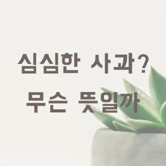 심심한 사과 뜻 한자 논란_3