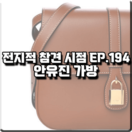  전지적 참견 시점 194회 안유진 가방 :: 셀린느 브라운 미디움 타부백