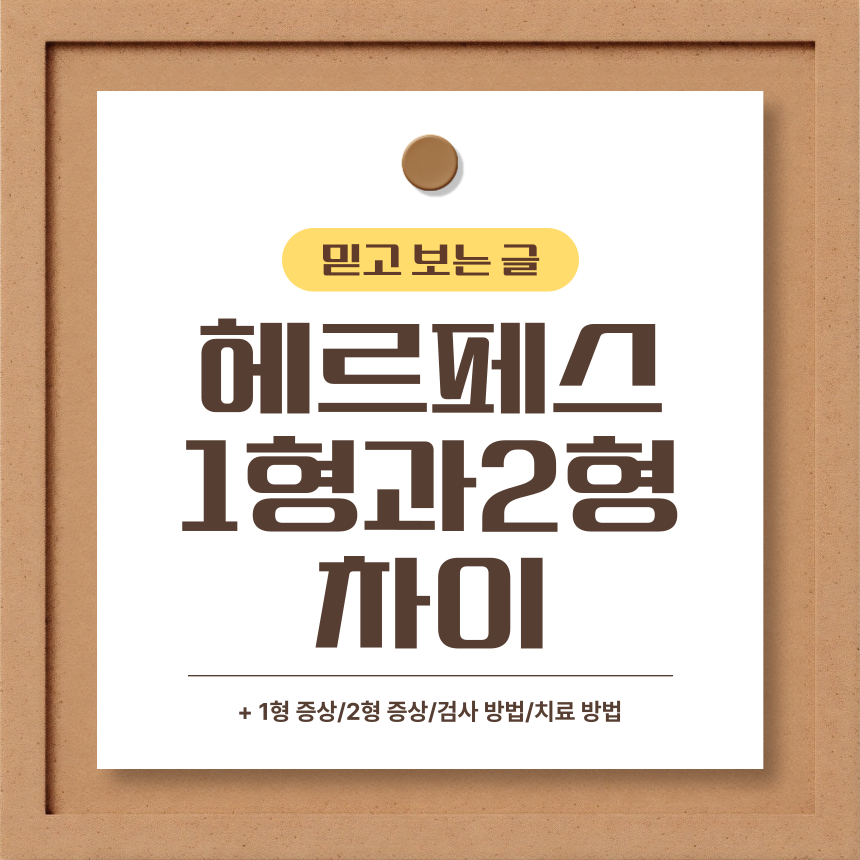  헤르페스 1형과 2형 차이
