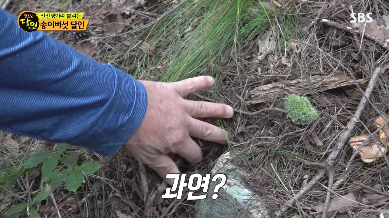 생활의 달인.E907.231010p-NEXT.mp4_20231010_202747.128.jpg