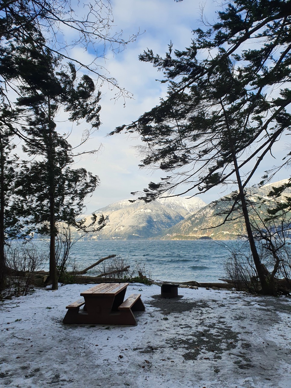 rv RV 카라반 끌고 미국 63