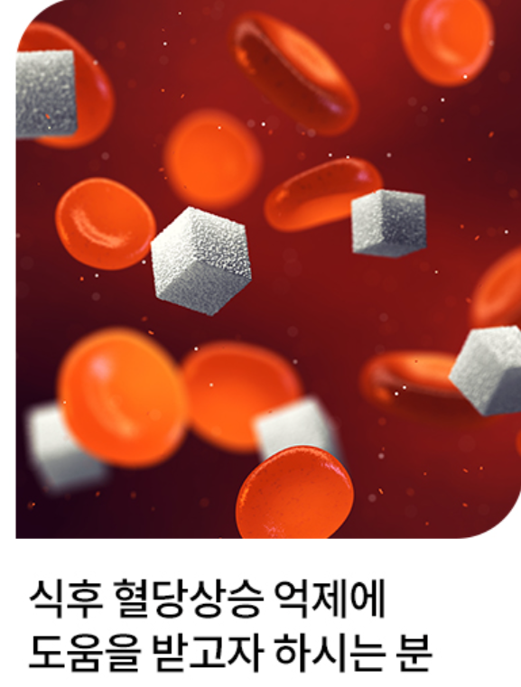 솔티스 혈당 프로텍션 프로