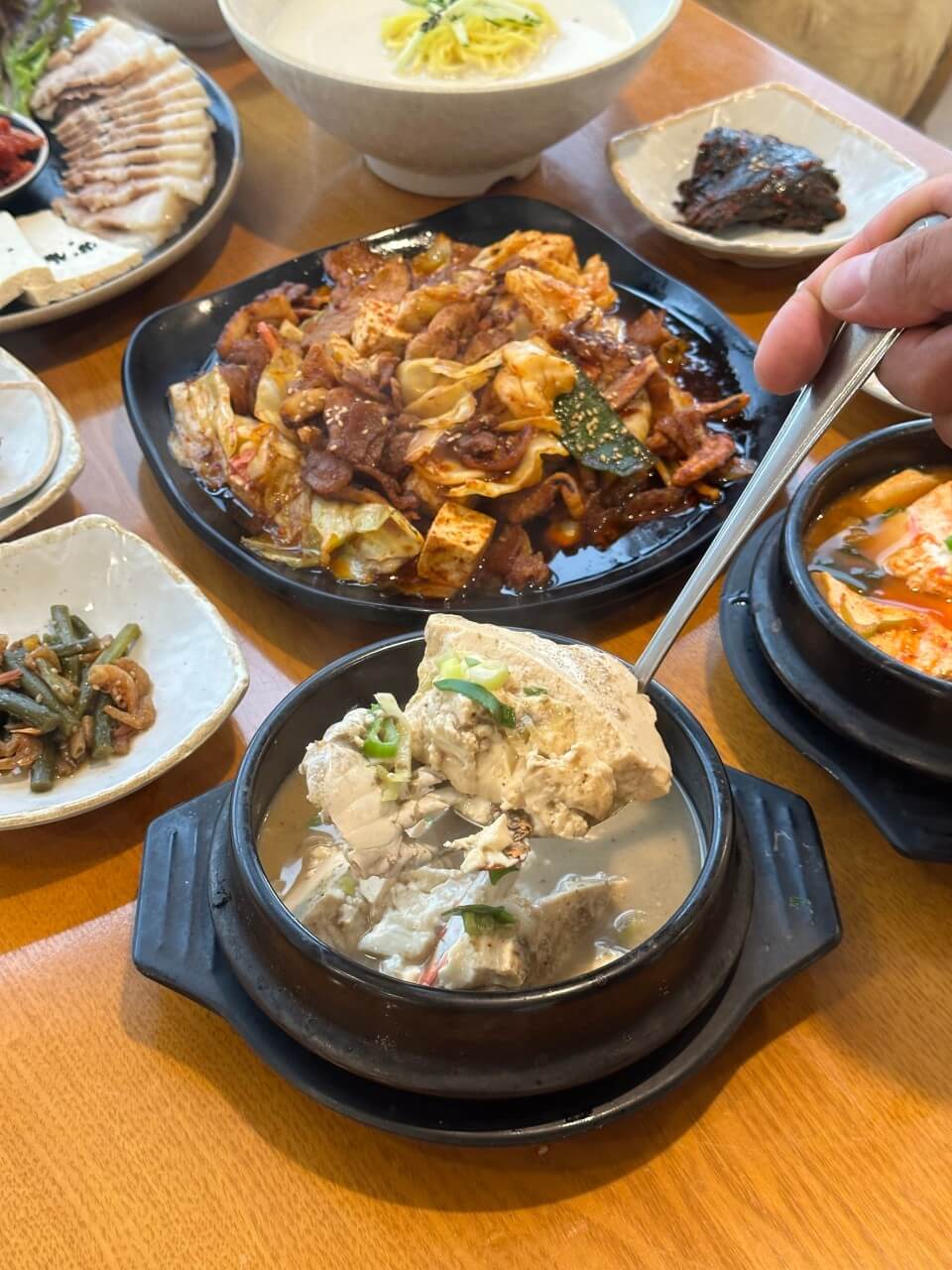 숨쉬는순두부
