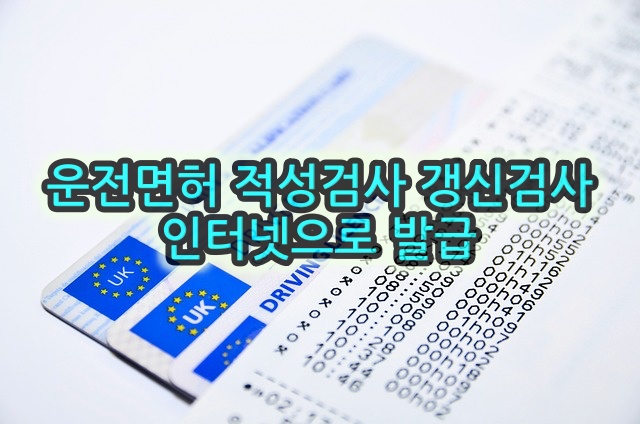 운전면허 적성검사 갱신검사 인터넷 발급