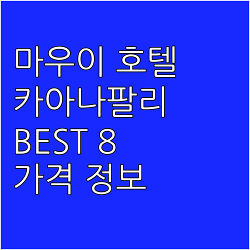 마우이 카아나팔리 해변 호텔 추천 B