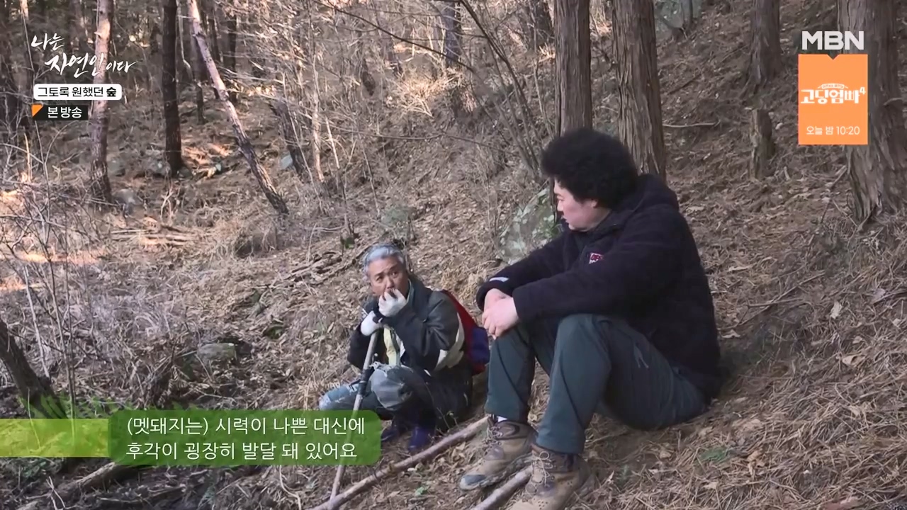 나는 자연인이다.E591.240132p-NEXT.mp4_20240201_194801.961.jpg