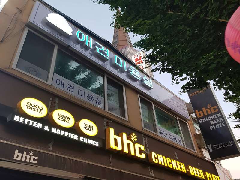 경기도 광명시 애견미용 잘하는 곳 BEST4 | 비교 | 추천 | 후기 | 할인 정보 | 예약 안내 | 총정리 - 1. 표나개반려애견미용실 소개 1. 표나개반려애견미용실 소개