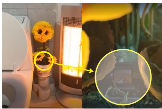  인천 부평구  꽃집 화장실 화분에 몰카 설치 직원들 불법 촬영한 꽃집사장