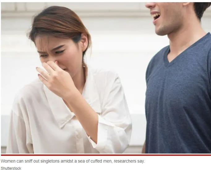 남성의 독신 여부 밝힐 수 있는 체취 연구 Single men stink more than married ones — and women can smell it: study