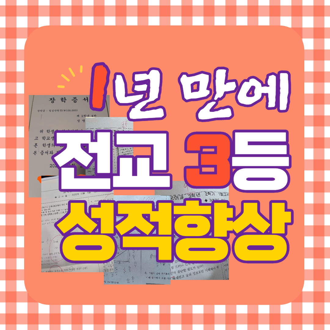  중학생 국어과외 우면동 중등 고등학생 양재동 한국사과외 고등 잠원동 방배 과학과외