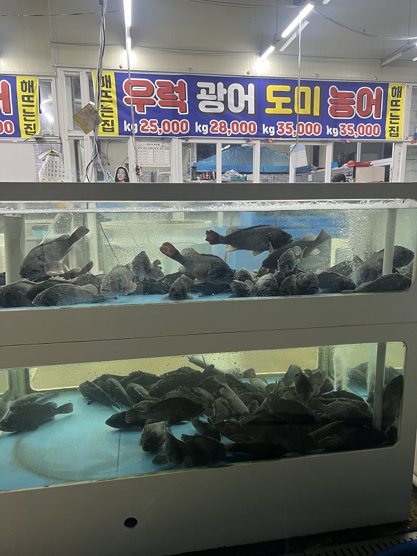 해뜨는집 수족관
