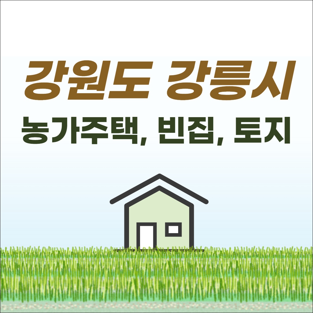 강릉 농가주택 토지 빈집 촌집 시골집 매물 매매 정보