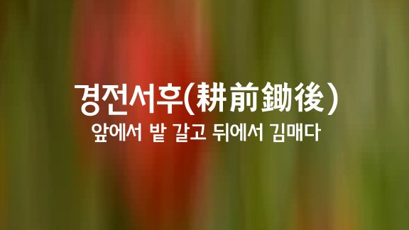 서후 이미지