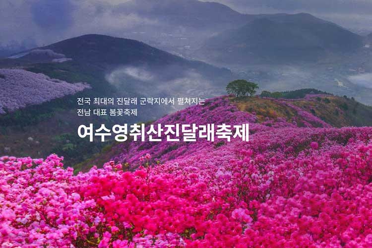 여수-영취산-진달래꽃-풍경